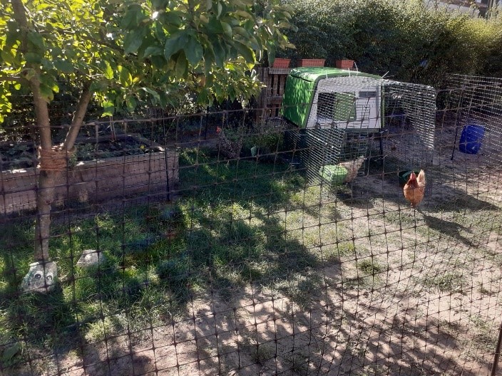 Bild1