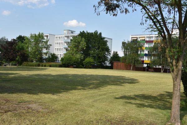 Wiese An der Barnimer Heide